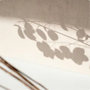 Shadow branches
